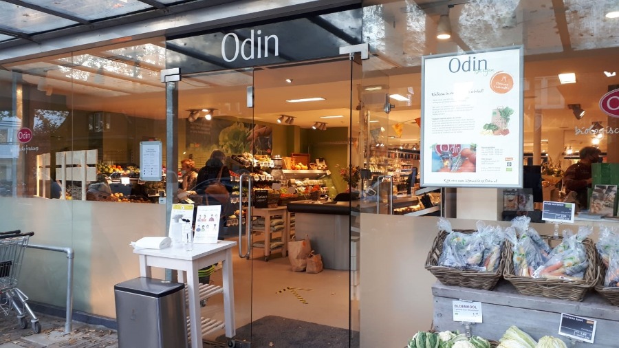 Odin Bergen