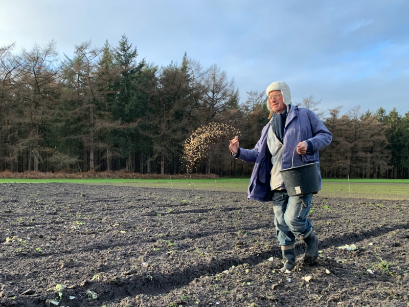 Waarom gebruiken boeren groenbemesters?