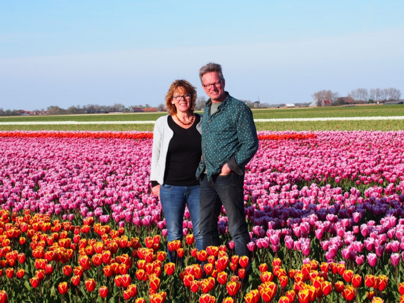 Vier de lente met biologische bloembollen