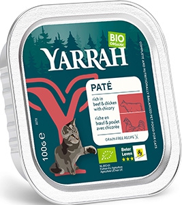 Kat pate rund met cichorei