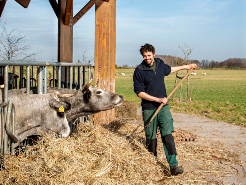 Biodiversiteit op een biodynamische boerderij