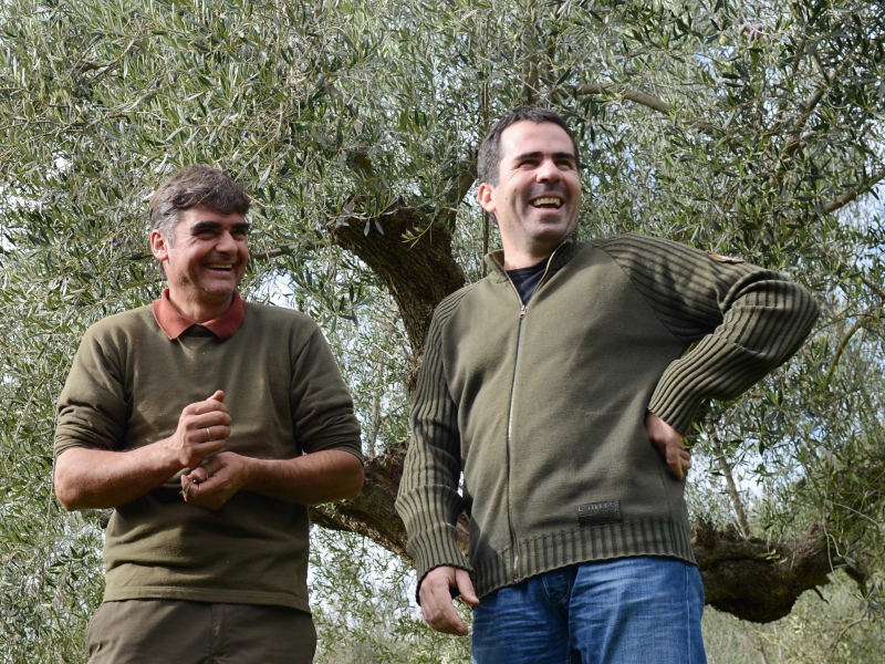 Epikouros: biologische en biodynamische olijven