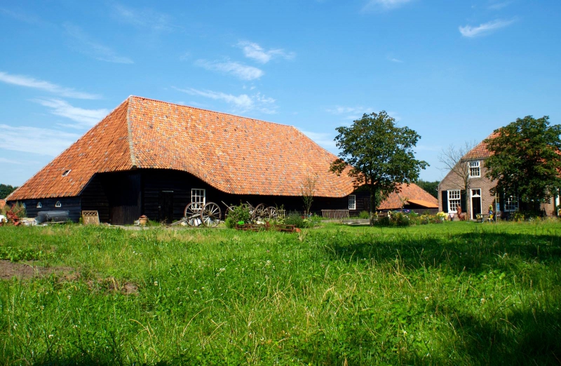 Marlies is hulpimker op boerderij Moervliet