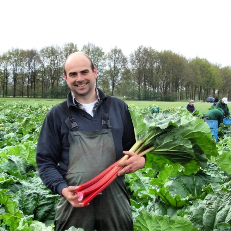 Rabarber van BioBrothers