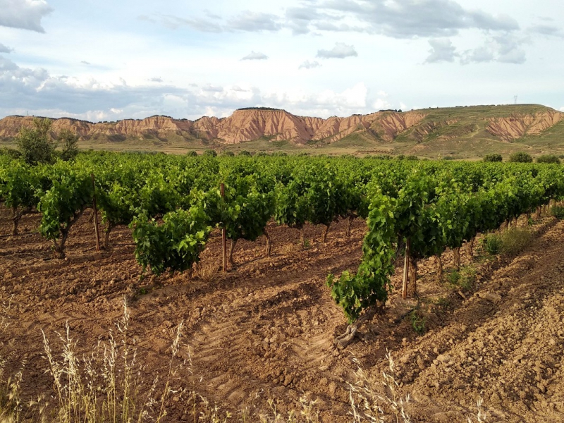Gaudon: Demeter-wijnen uit Spanje
