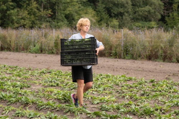 Oogst verfkleur indigo-blauw op Odin boerderij De Beersche Hoeve voor kunstenares Claudy Jongstra