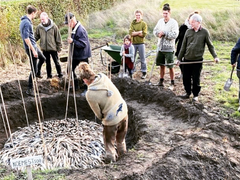 De tijd van het jaar: koehoorn preparaten gaan de aarde in