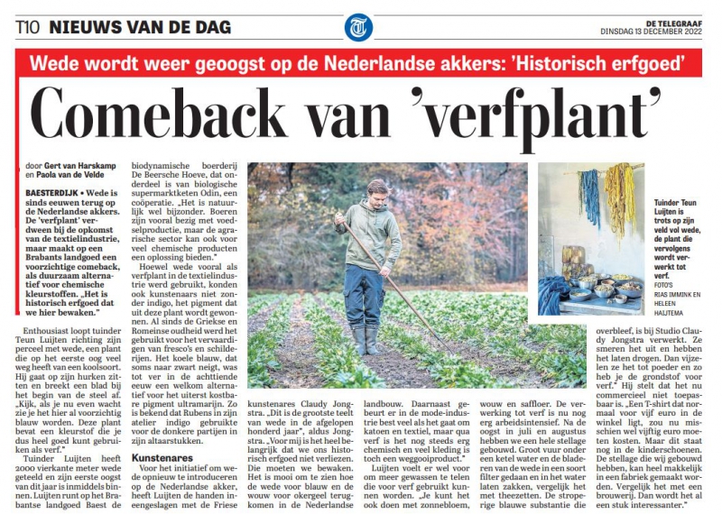 20221213 De Telegraaf Comeback van verfplant, Teun Luijten Beersche Hoeve Claudy Jongstra wede