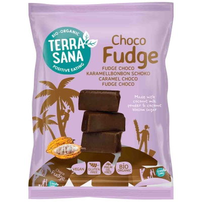 Fudge choco vegan TERRASANA