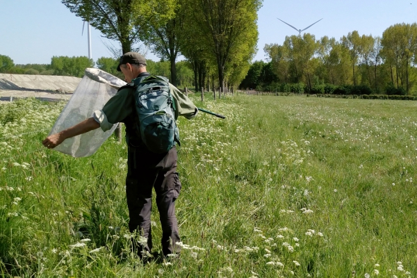 Boeren versterken biodiversiteit met biologische coöperatie Odin