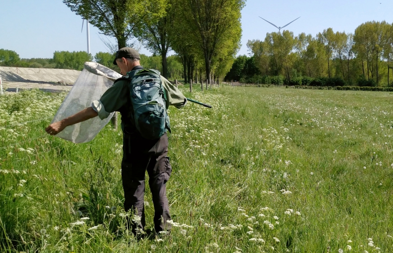 Kees Goudsmit onderzoekt insectenpopulatie bij biodynamische boerderij Almere Vliervelden voor de Odin Imkerij