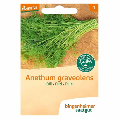 Dille anethum graveolens BINGENHEIMER SAATGUT