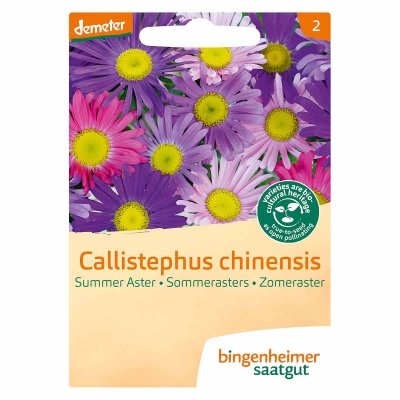 Zomeraster BINGENHEIMER SAATGUT