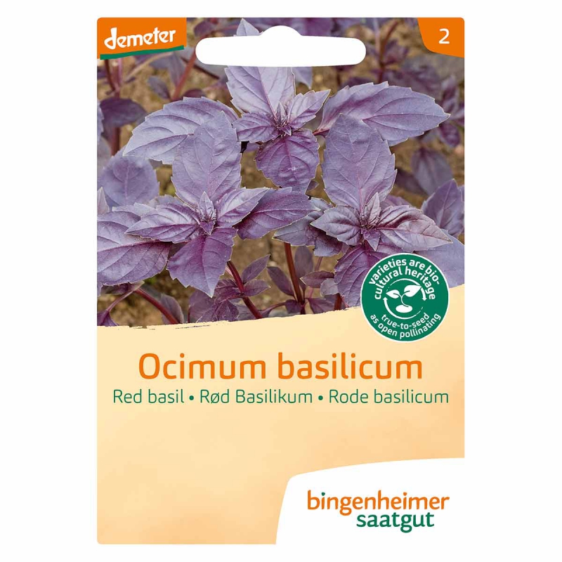 Basilicum rood