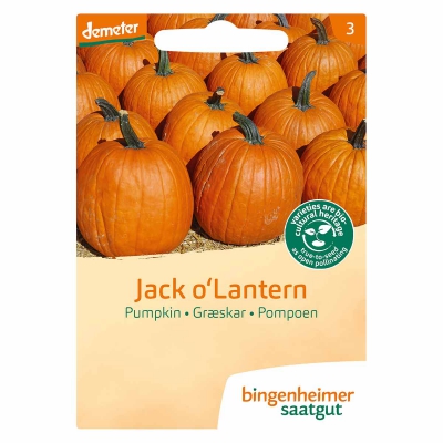 Pompoen jack o lantern BINGENHEIMER SAATGUT