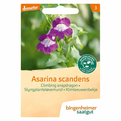 Klimleeuwenbekje BINGENHEIMER SAATGUT