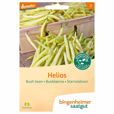 Stamslaboon helios yellow BINGENHEIMER SAATGUT