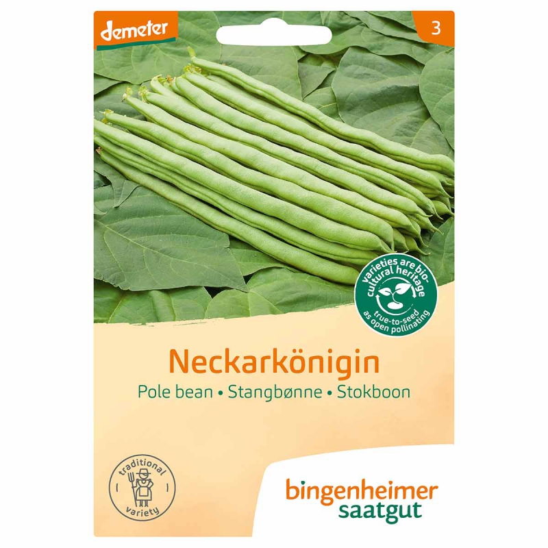 Stokboon neckarkoningin