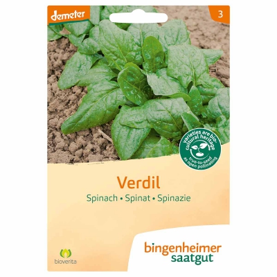 Spinazie verdil BINGENHEIMER SAATGUT