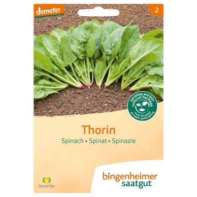 Spinazie thorin BINGENHEIMER SAATGUT