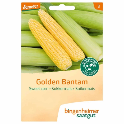Suikermais golden bantam BINGENHEIMER SAATGUT