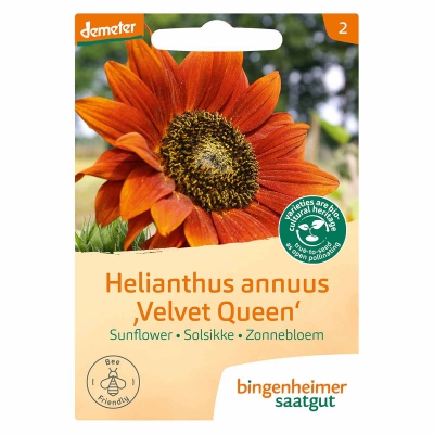 Zonnebloem velvet queen BINGENHEIMER SAATGUT