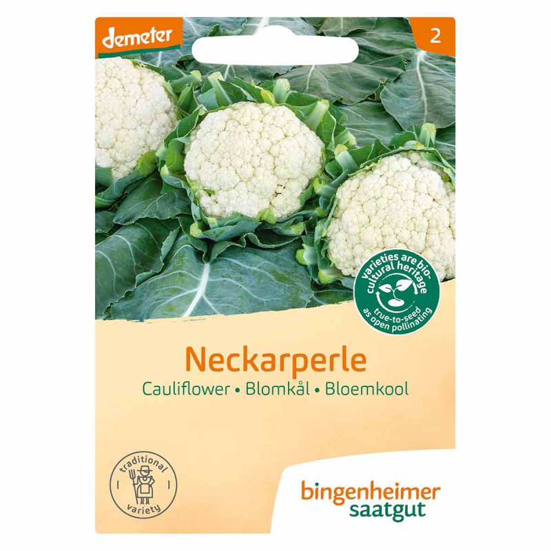 Bloemkool neckarperle