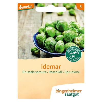 Spruitkool idemar BINGENHEIMER SAATGUT
