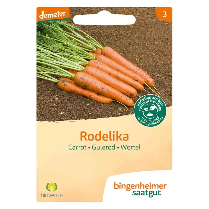 Wortel rodelika