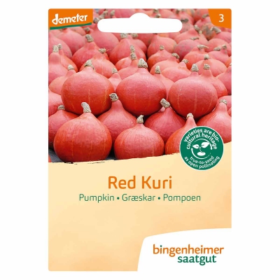 Pompoen red kuri hokkaido BINGENHEIMER SAATGUT