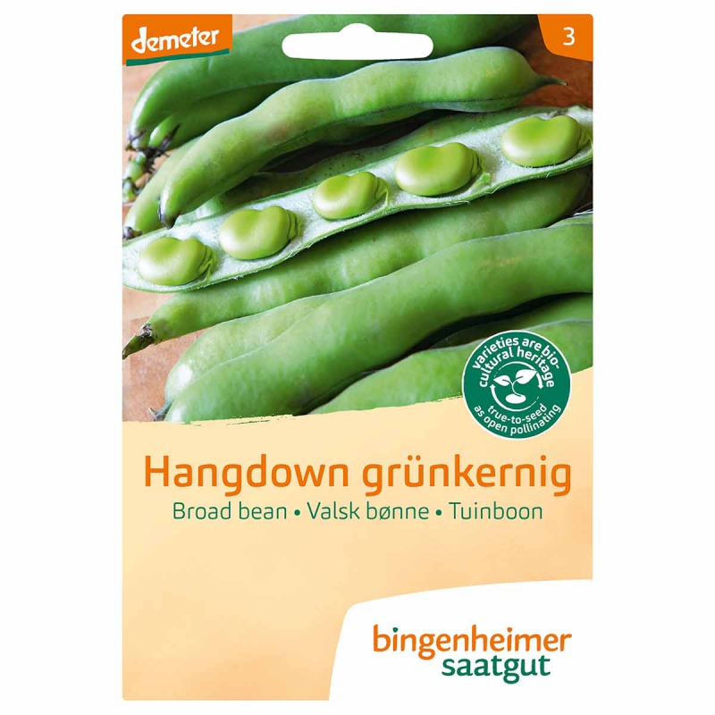 Tuinboon hangdown grunkern