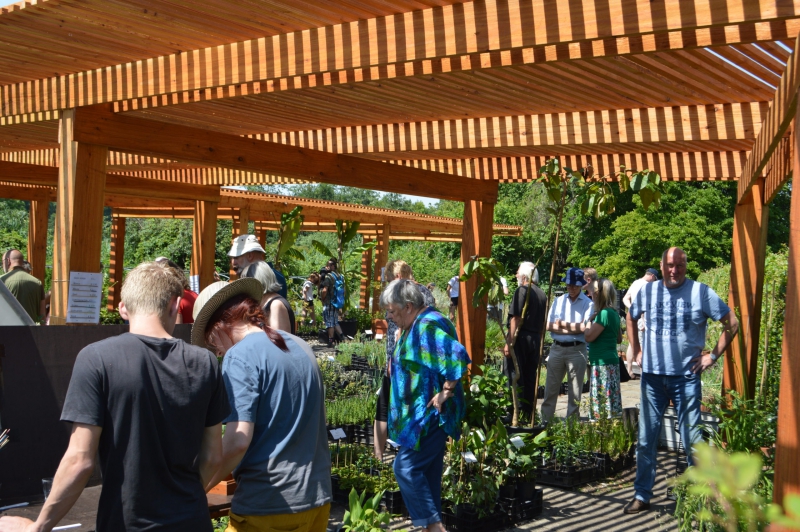 11 juni: Planten-, kruiden- en warenmarkt