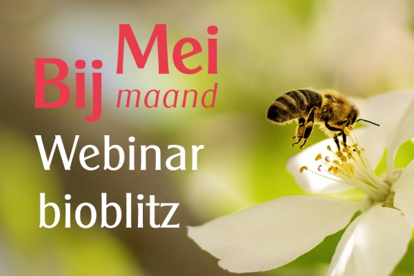 24 april: webinar Bioblitz Meimaand Bijmaand