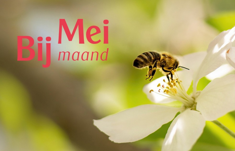 Odin Meimaand Bijmaand 2023. Doe mee met de Bioblitz op 5 biologische bedrijven!