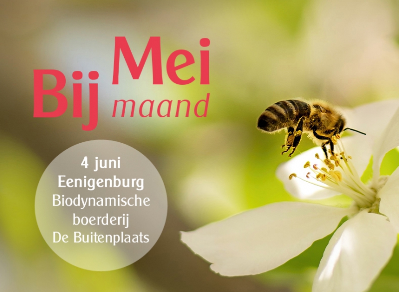 4 juni: Meimaand Bijmaand bij De Buitenplaats in Eenigenburg