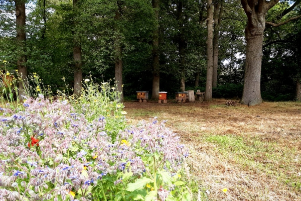 Odin imkerij plaatst bijenvolken op Landgoed Luchtenburg