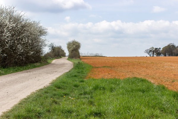 Glyfosaat hoort niet in een gezond landbouwsysteem