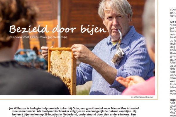 Bezield door bijen - Interview Odin imker Jos Willemse in Nieuw Mos