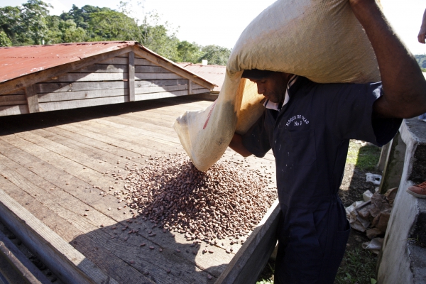 Chocolatemakers: chocolade voor een betere wereld 