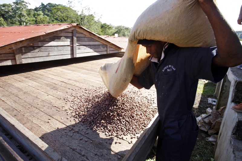 Chocolatemakers: chocolade voor een betere wereld