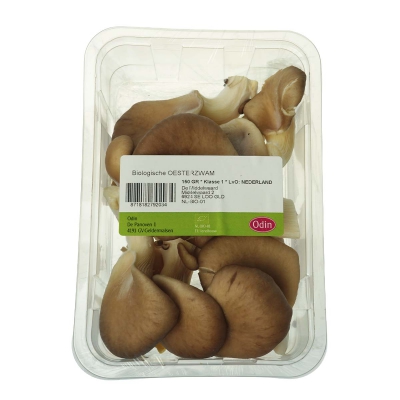 Oesterzwam paddenstoel ODIN