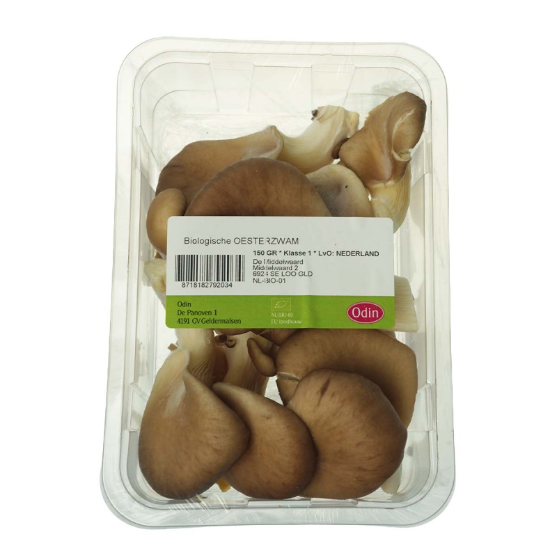 Oesterzwam paddenstoel