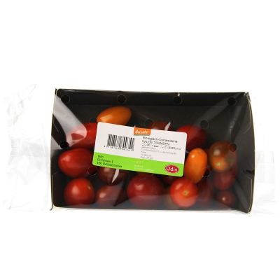 Wilde tomaten ODIN