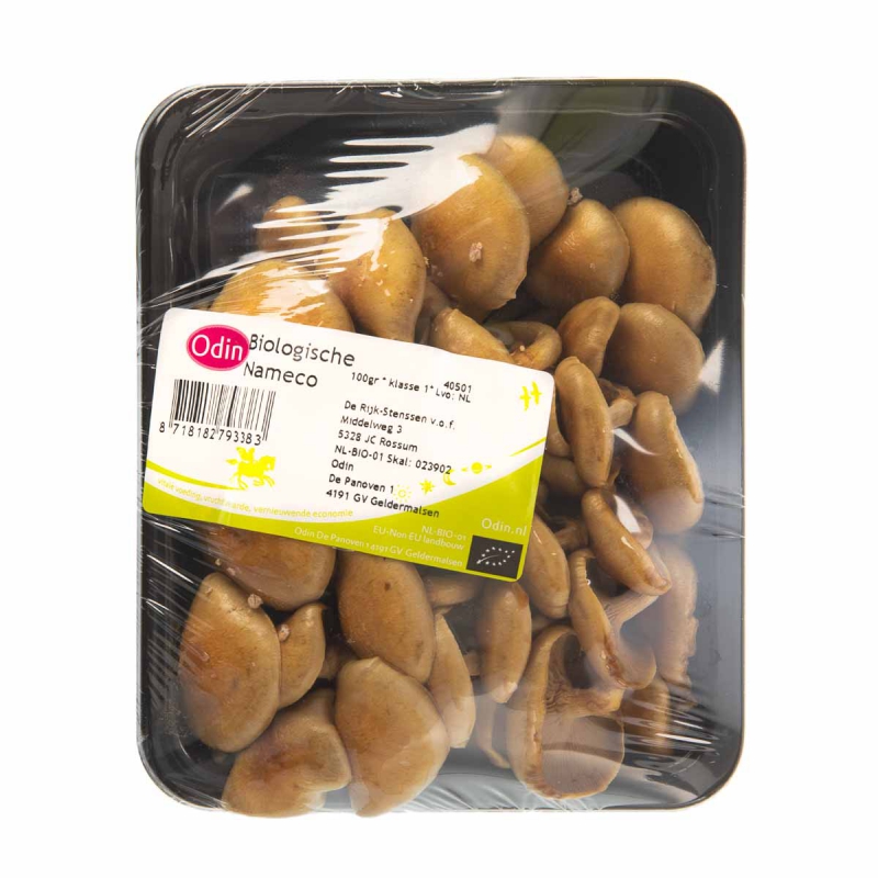 Nameco paddenstoel