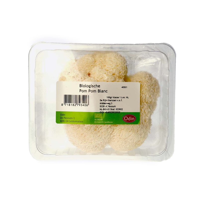 Pom pom blanc paddenstoel
