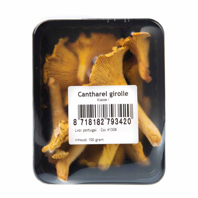 Cantharel