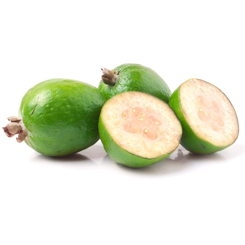 Feijoa