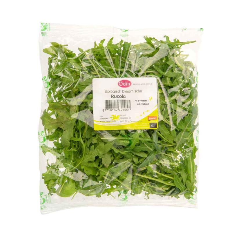 Rucola