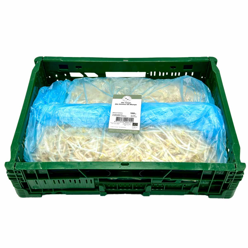 Kiemen tauge 1kg
