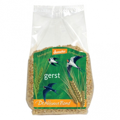 Gerst NIEUWE BAND